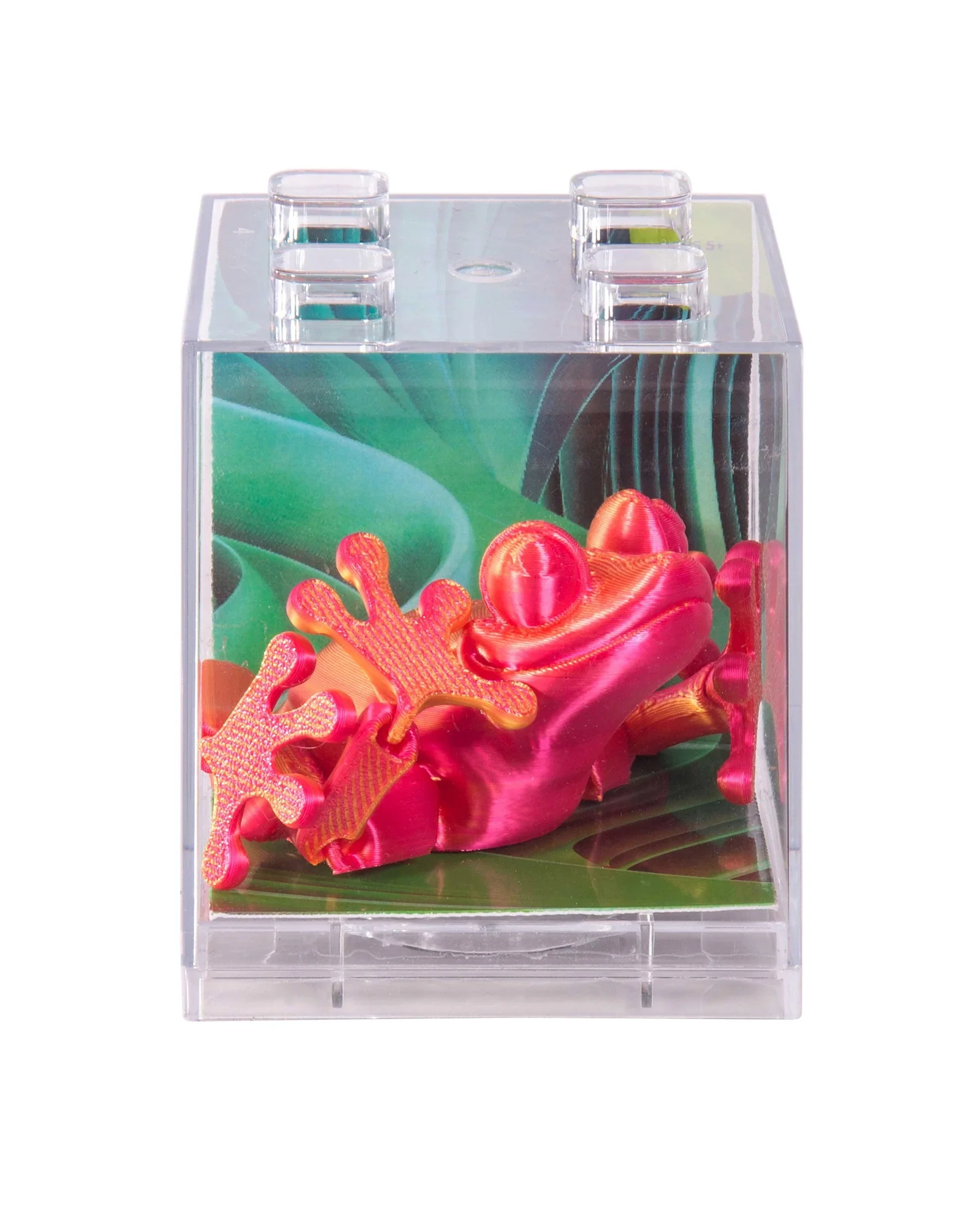 3D Sensory Frog Assorted - Image 10