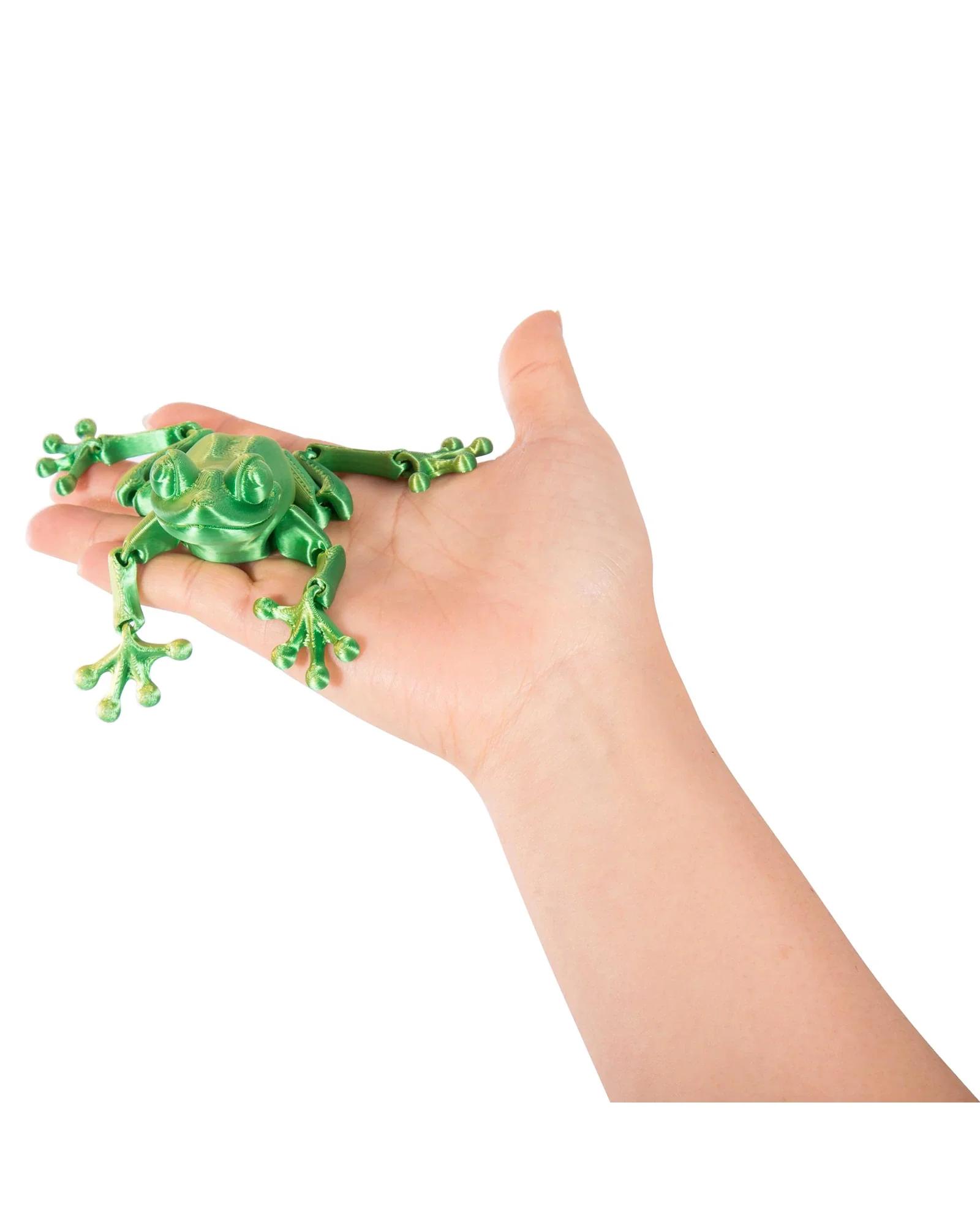 3D Sensory Frog Assorted - Image 5