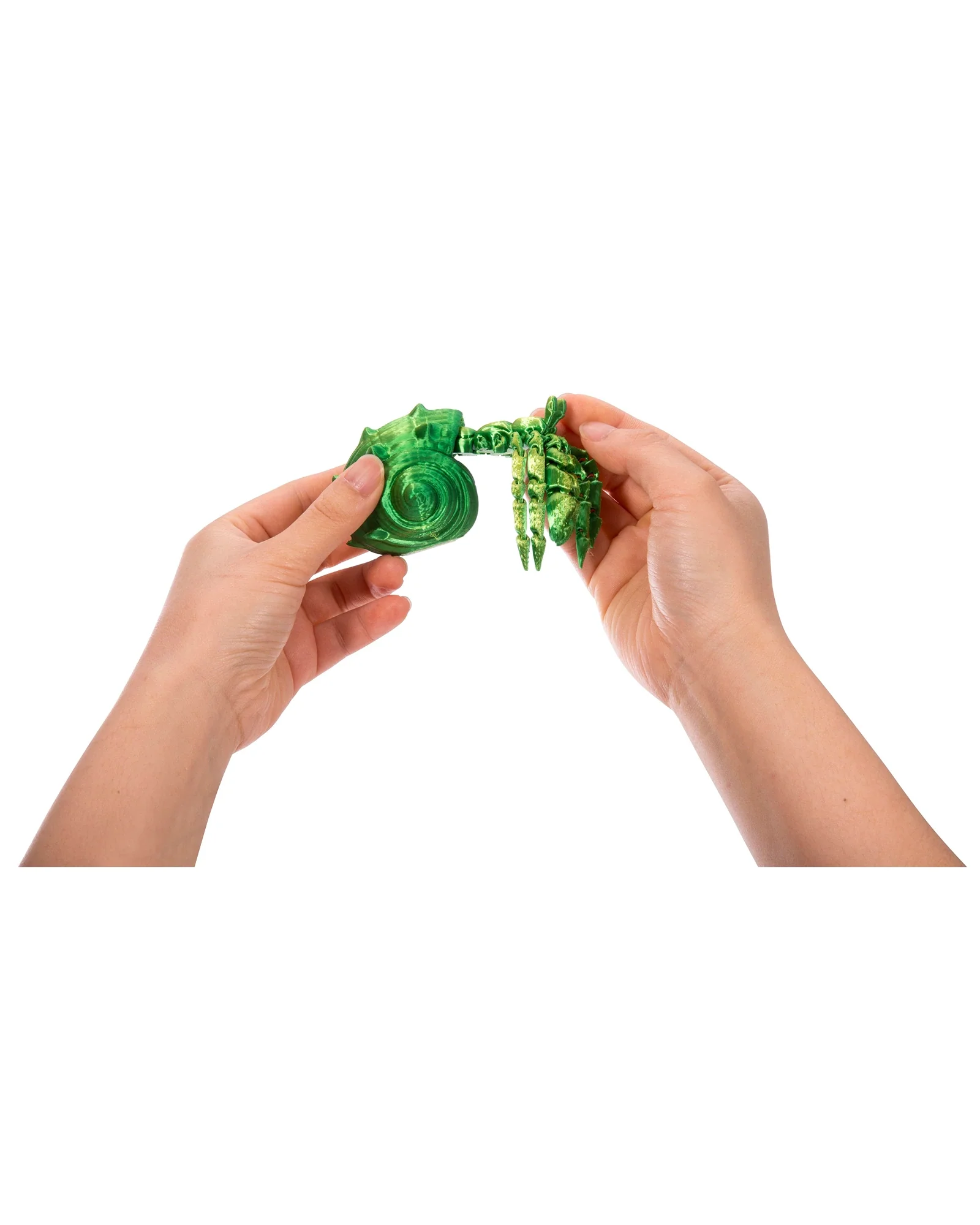 3D Sensory Sealife - Assorted - Image 5
