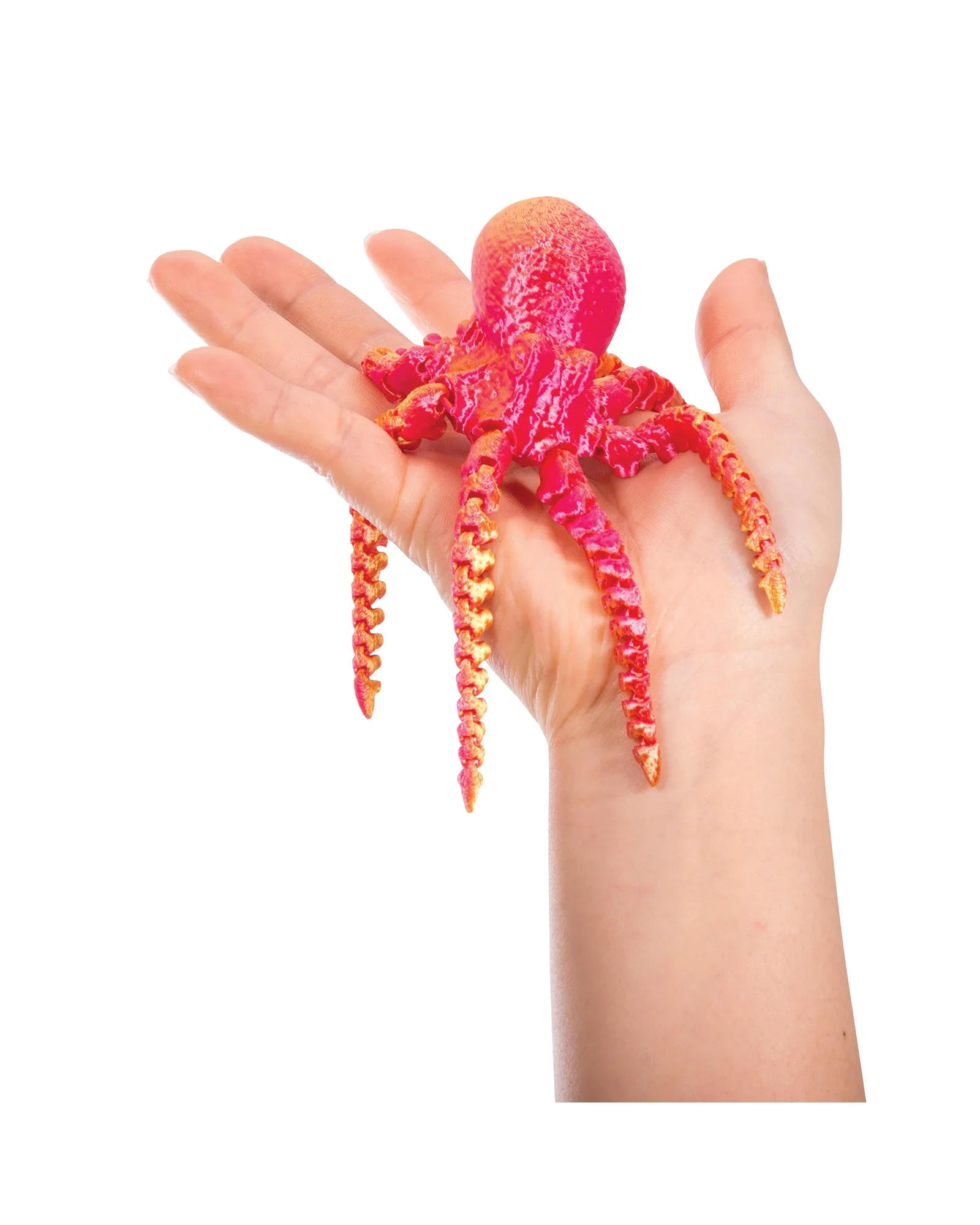 3D Sensory Sealife - Assorted - Image 7