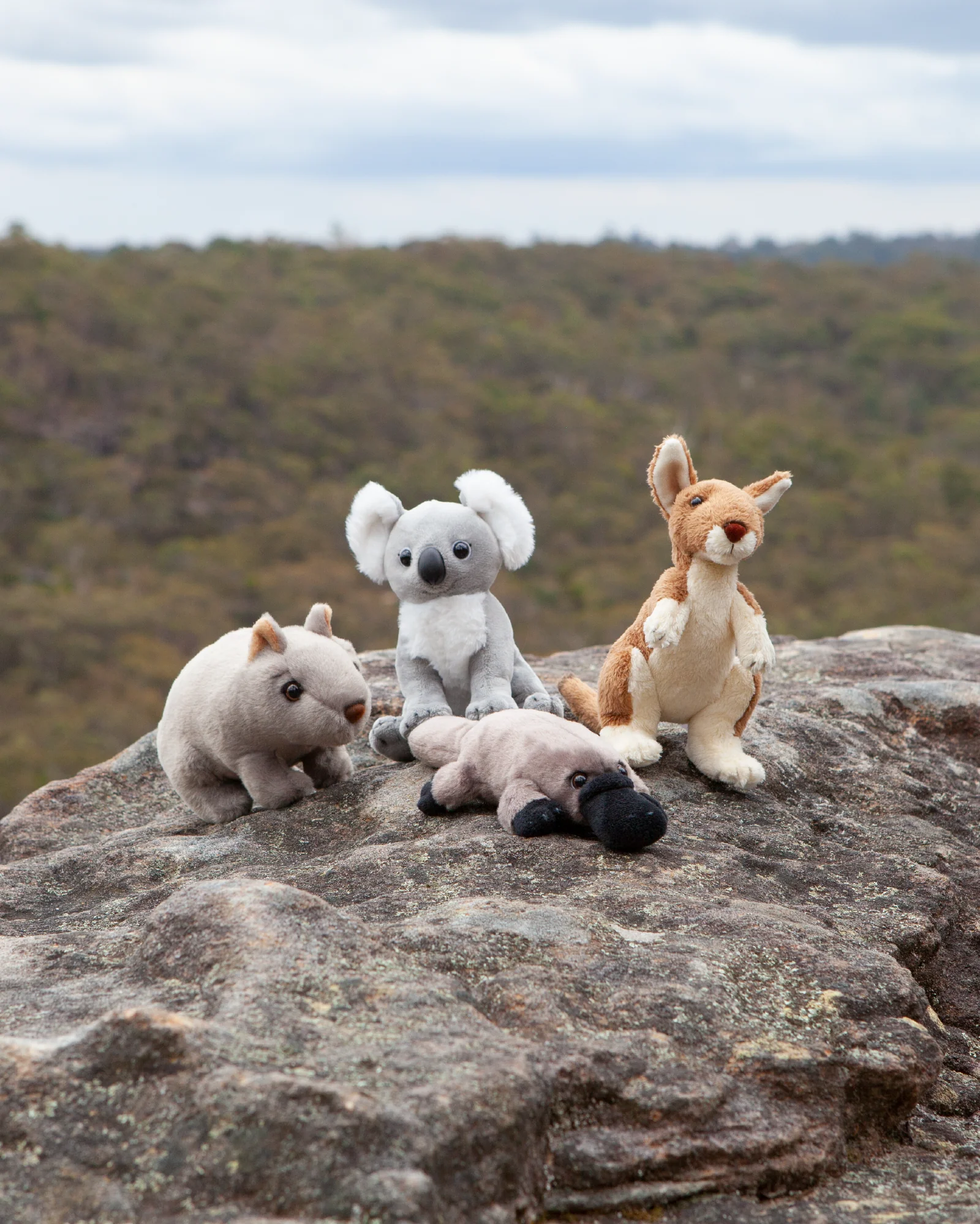 Kelly the Koala Small - Image 2