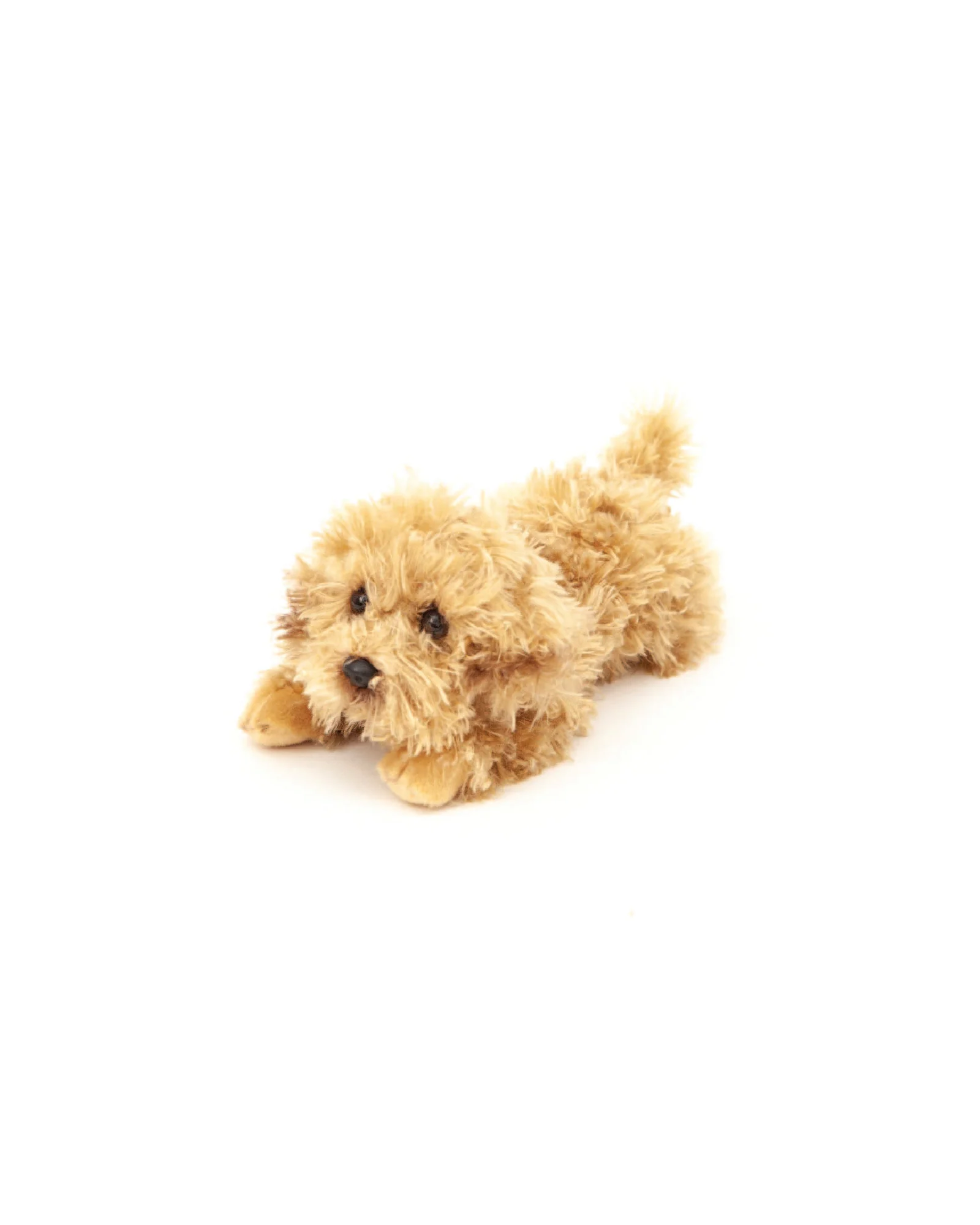 Luna Labradoodle Puppy - Image 2