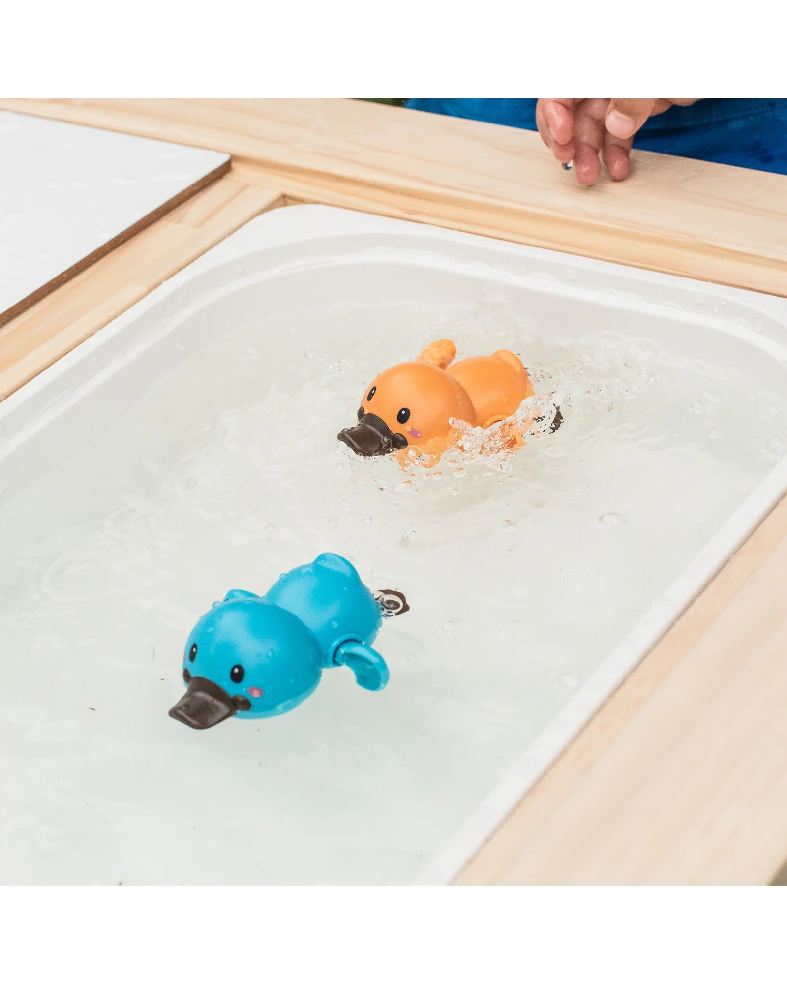Bath Racers - Platypuses - Image 6