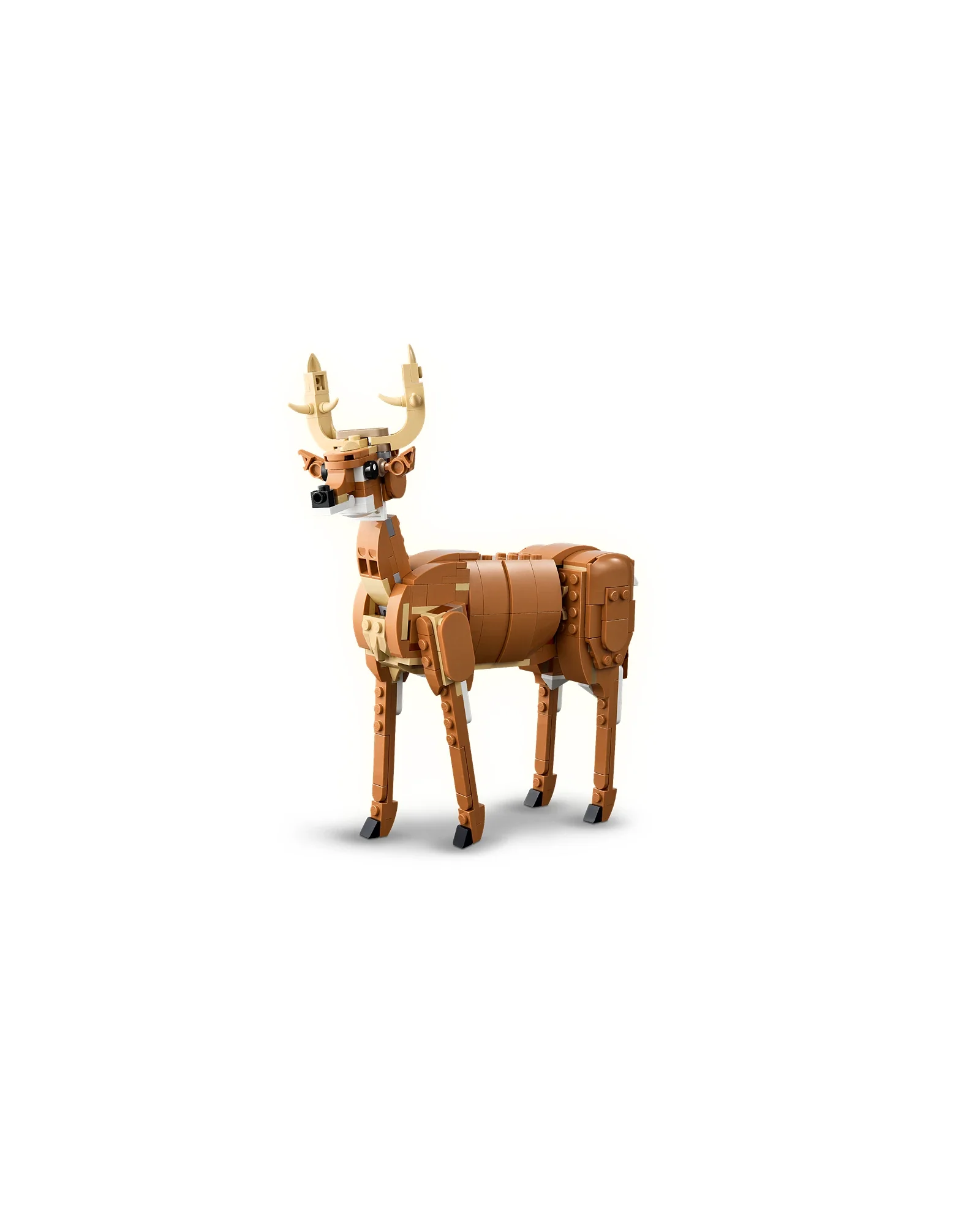 31166 Beautiful Horse - Image 9