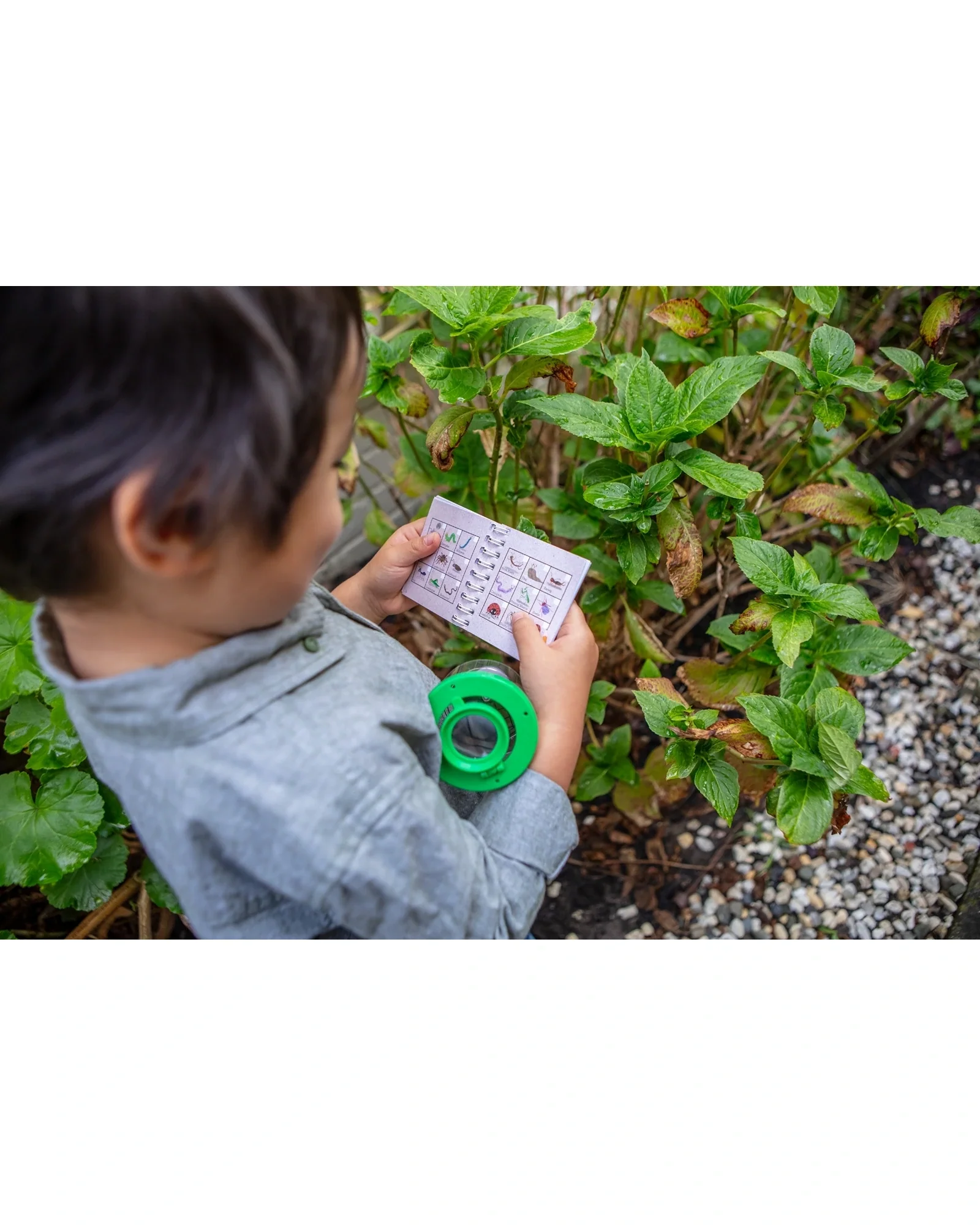 Bug Spotter Kit - Image 11