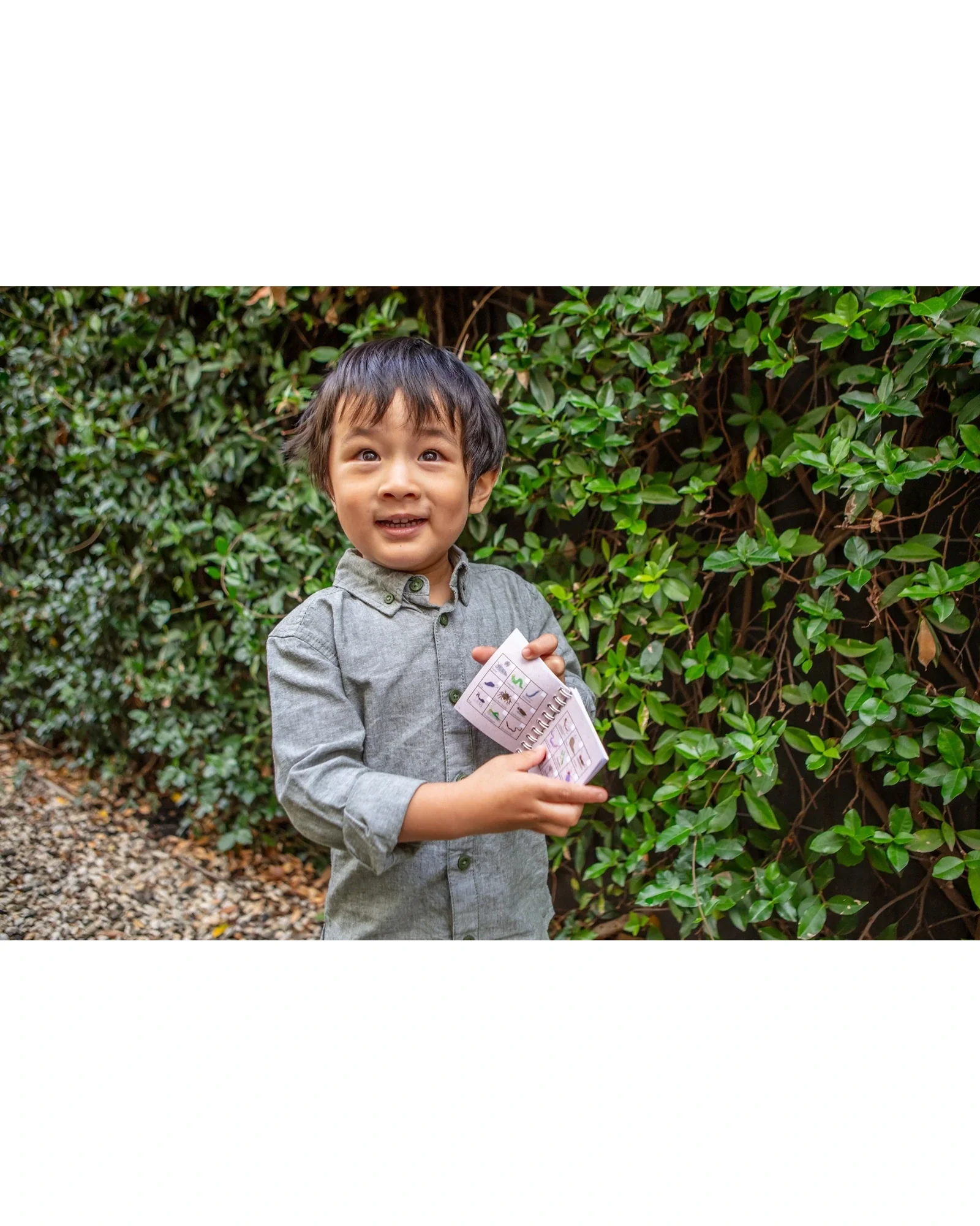 Bug Spotter Kit - Image 12