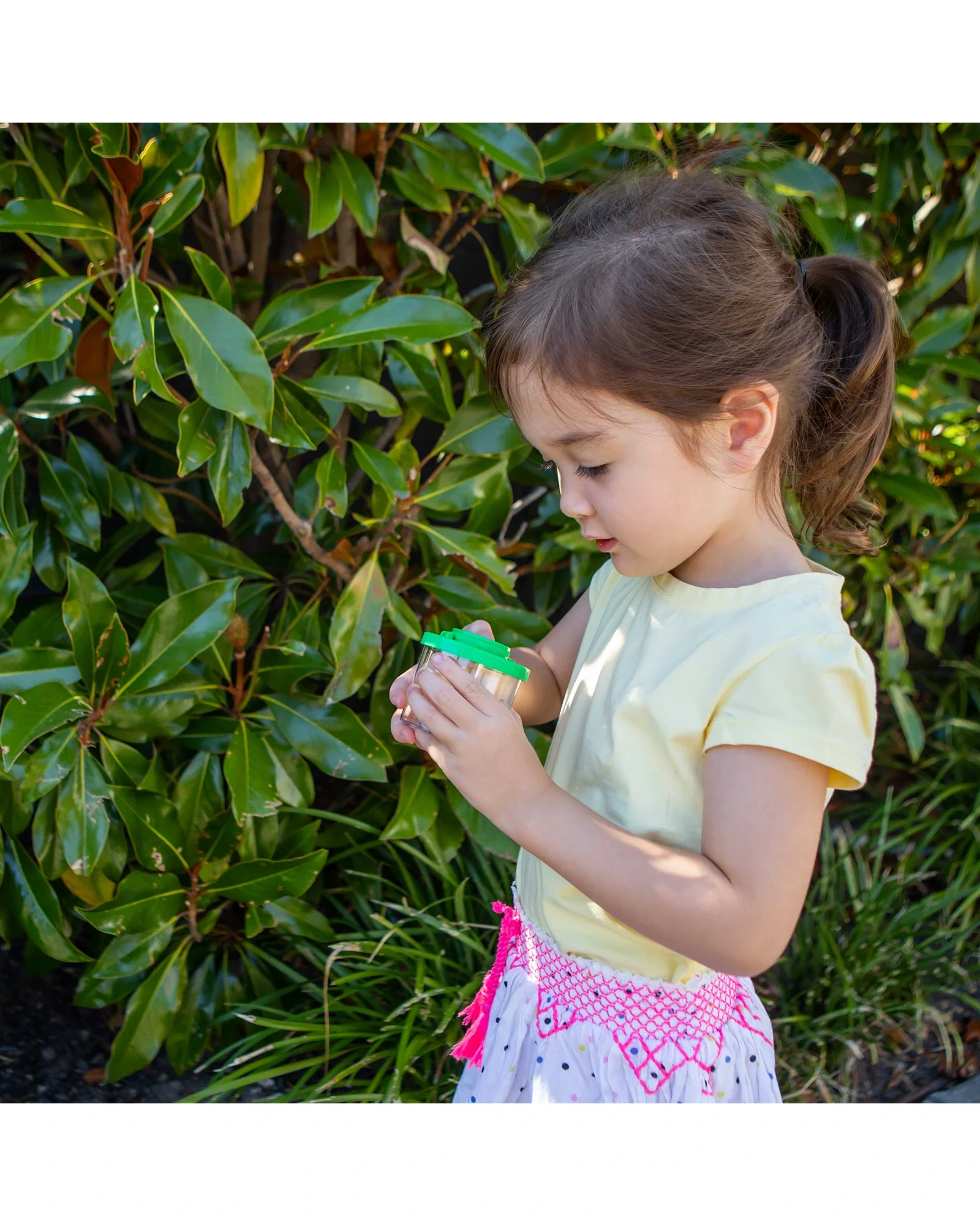 Bug Spotter Kit - Image 14
