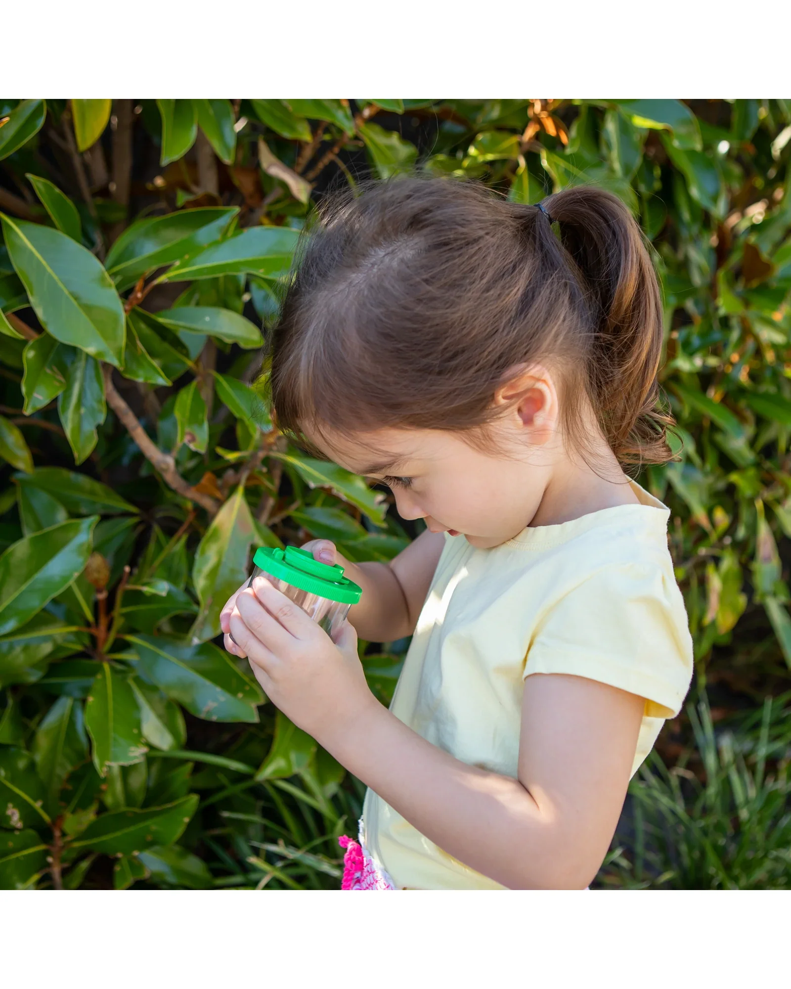 Bug Spotter Kit - Image 15