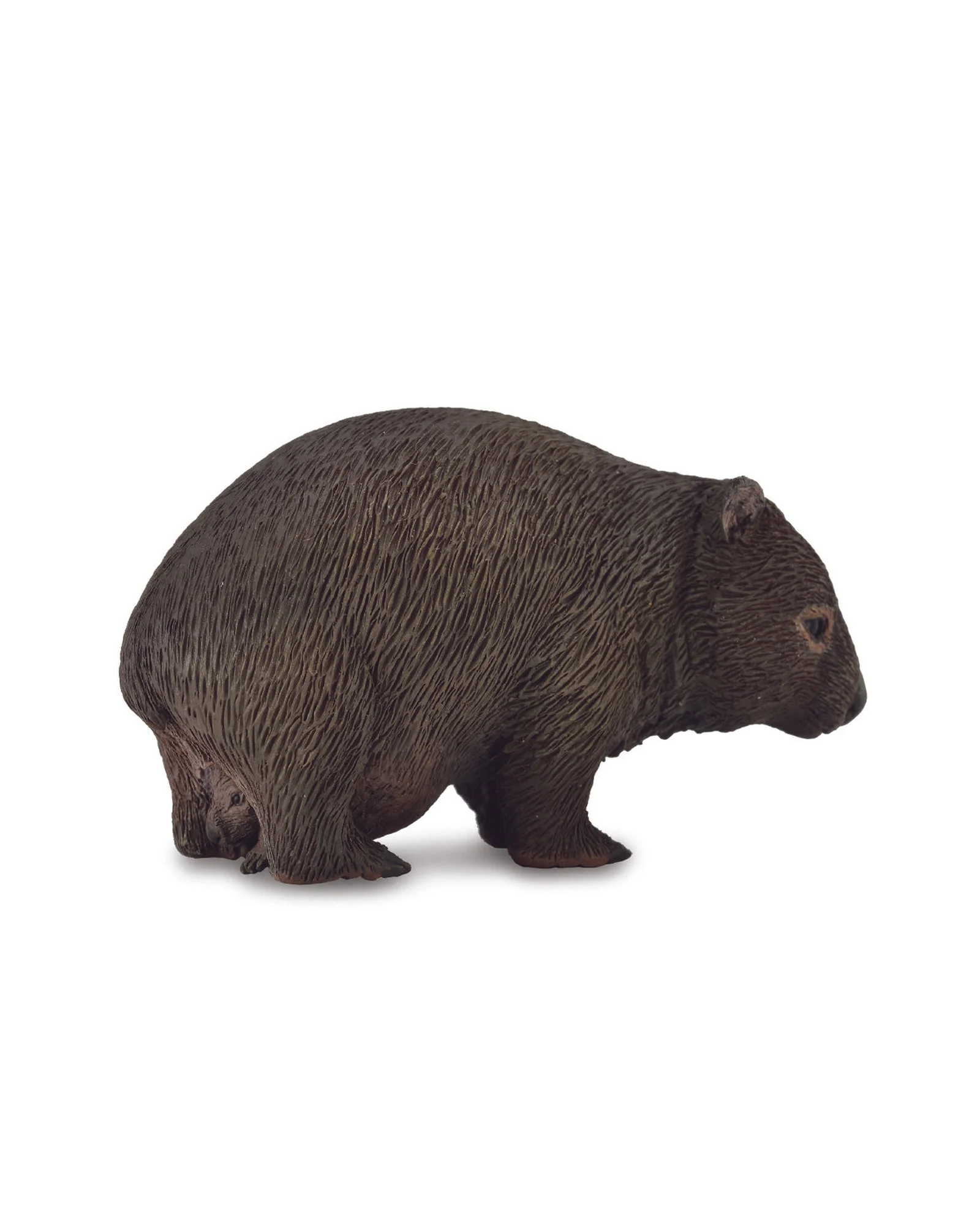 CollectA M Wombat