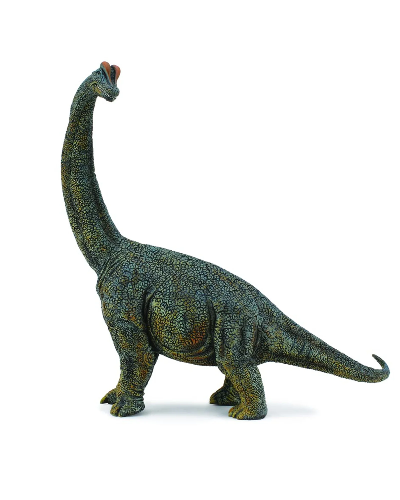 CollectA XXL Brachiosaurus