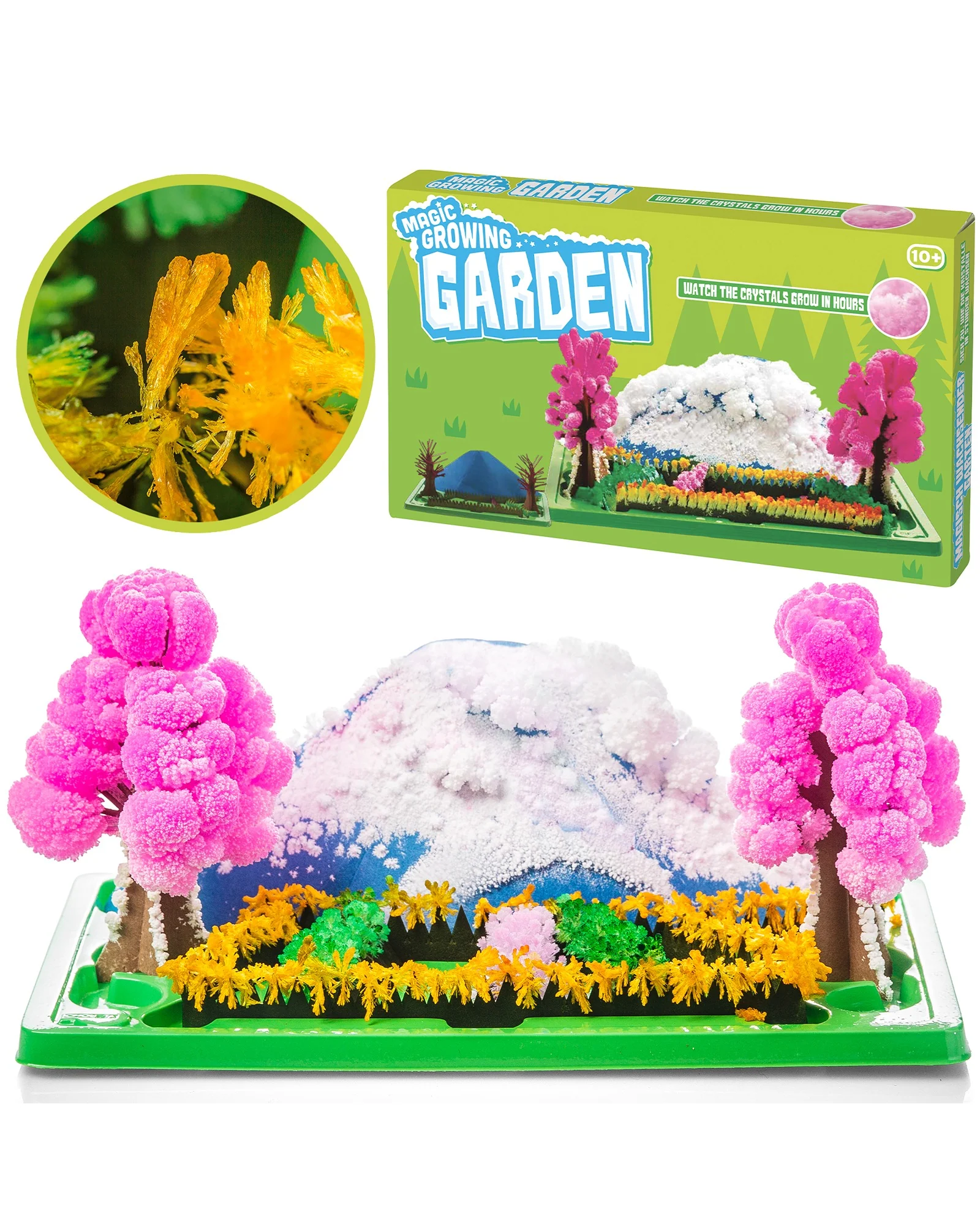 Magic Growing Garden - Image 2