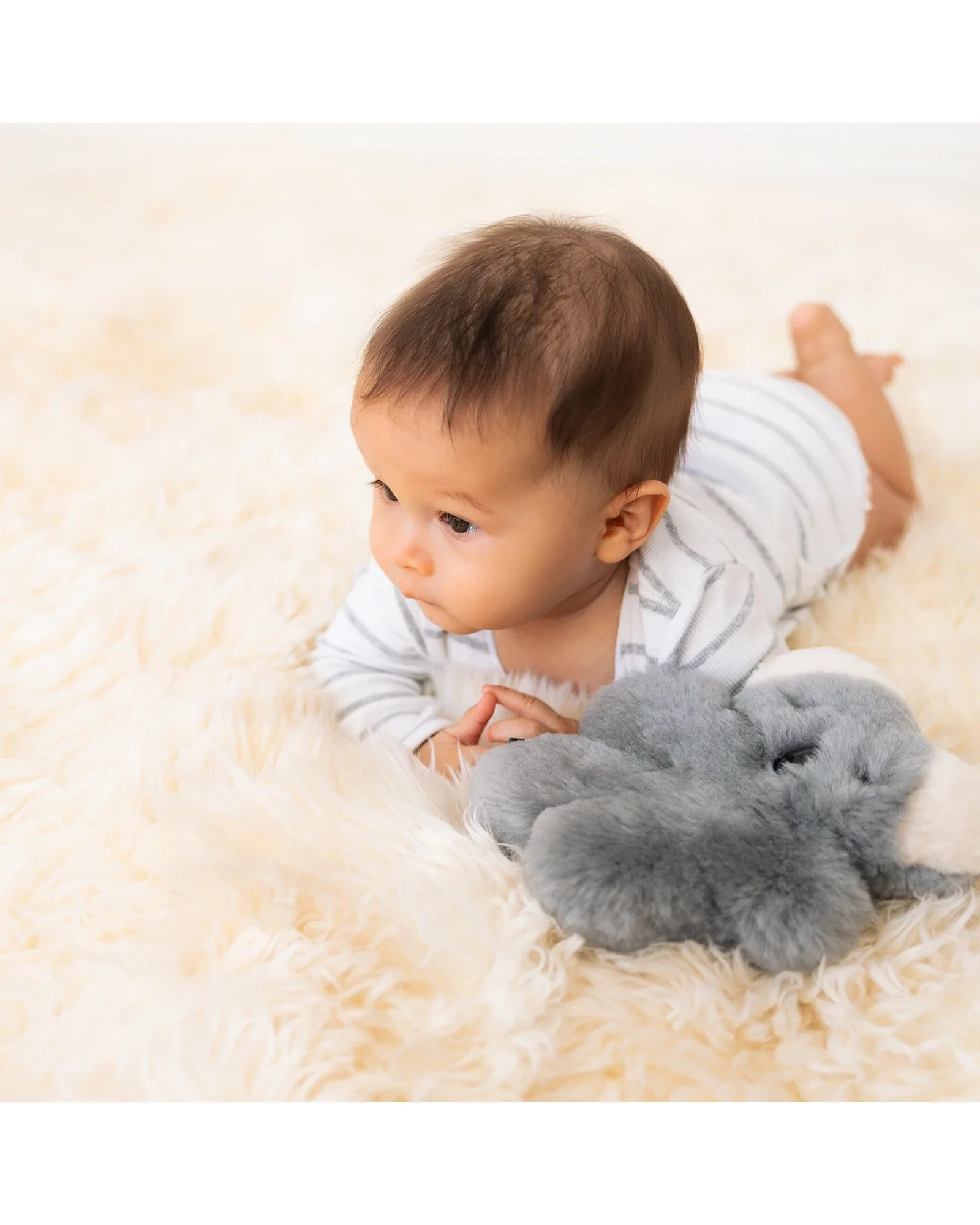 FLATOUTbear Baby Koala - Image 4