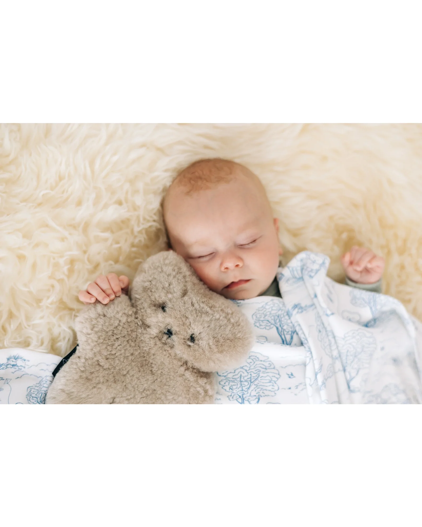 FLATOUTbear Baby Latte - Image 2