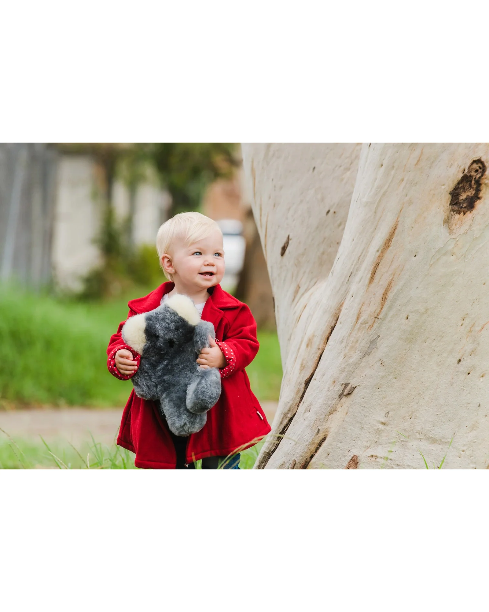 FLATOUTbear Koala - Image 5