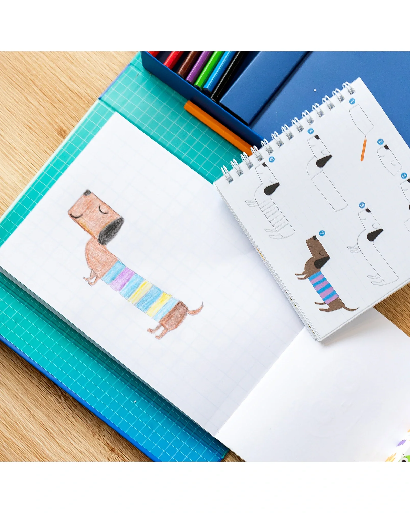 How To Draw - Animals - Image 9