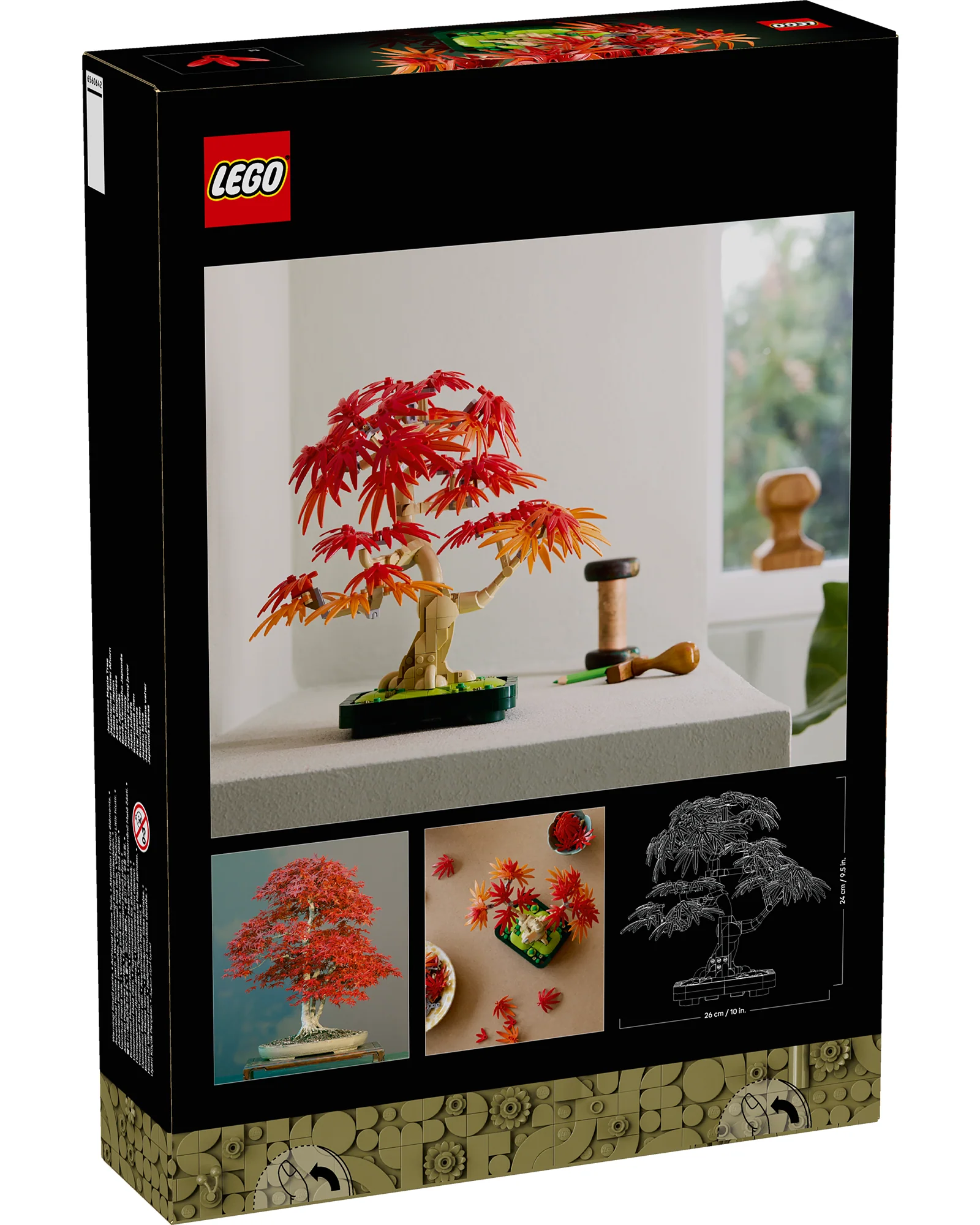 10348 Japanese Red Maple Bonsai Tree - Image 3