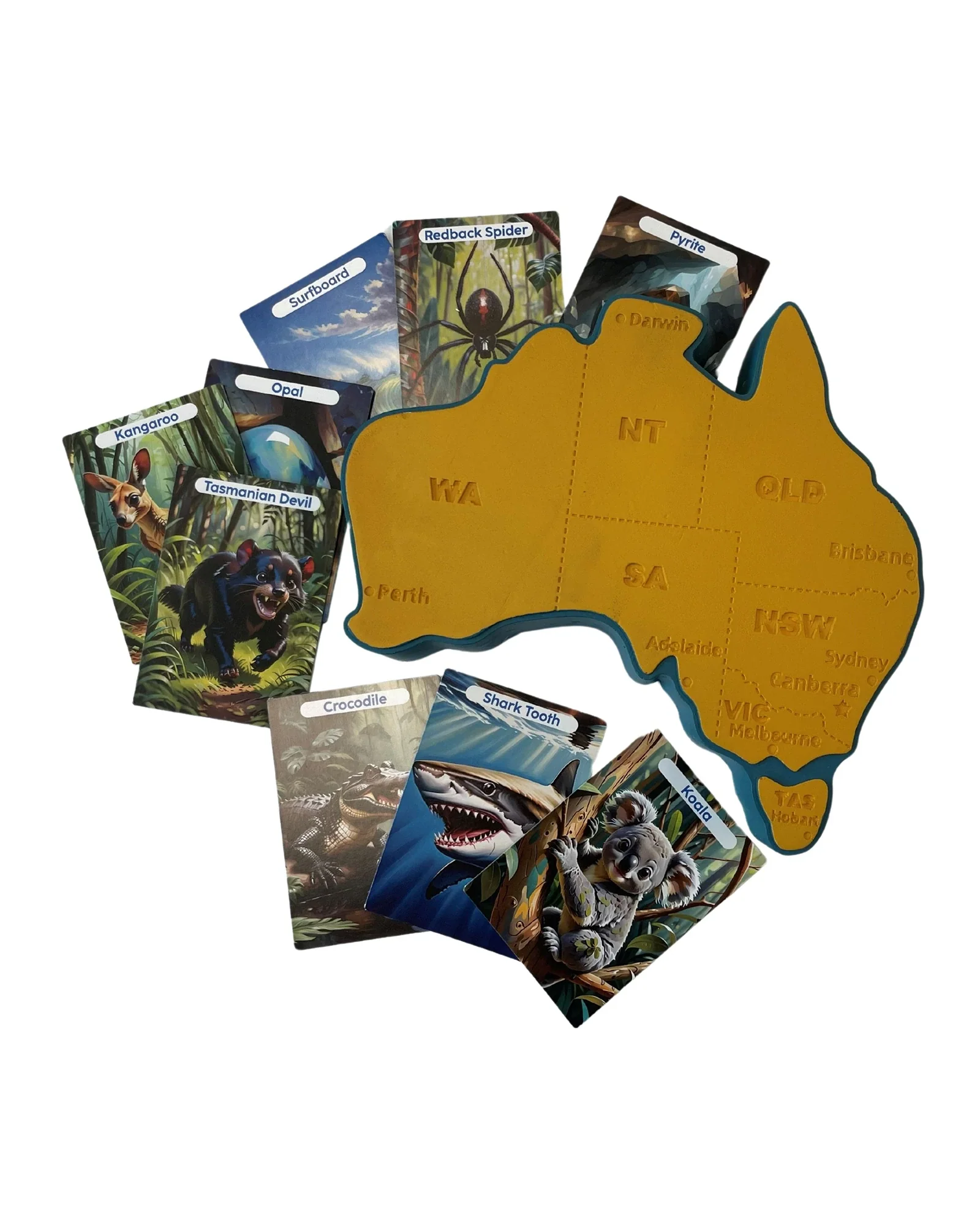 Johnco Dig Kit Explore Australia - Image 8