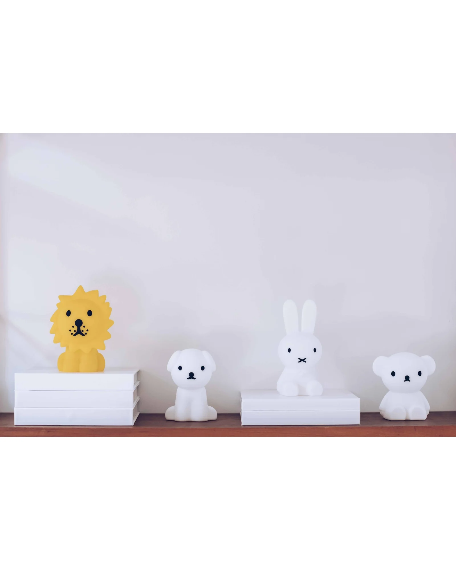 Lion Bundle of Light - Image 6