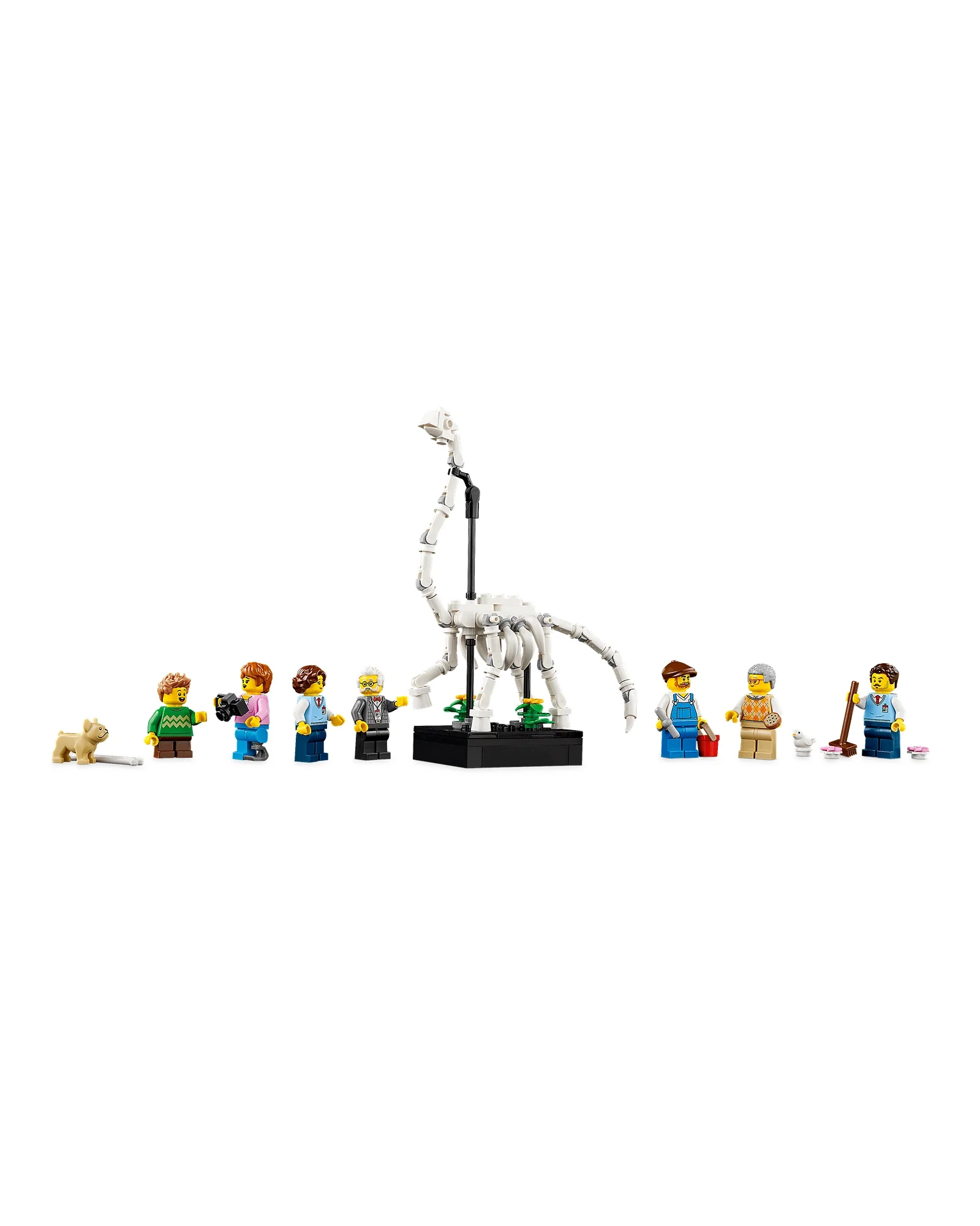 10326 Natural History Museum - Image 6