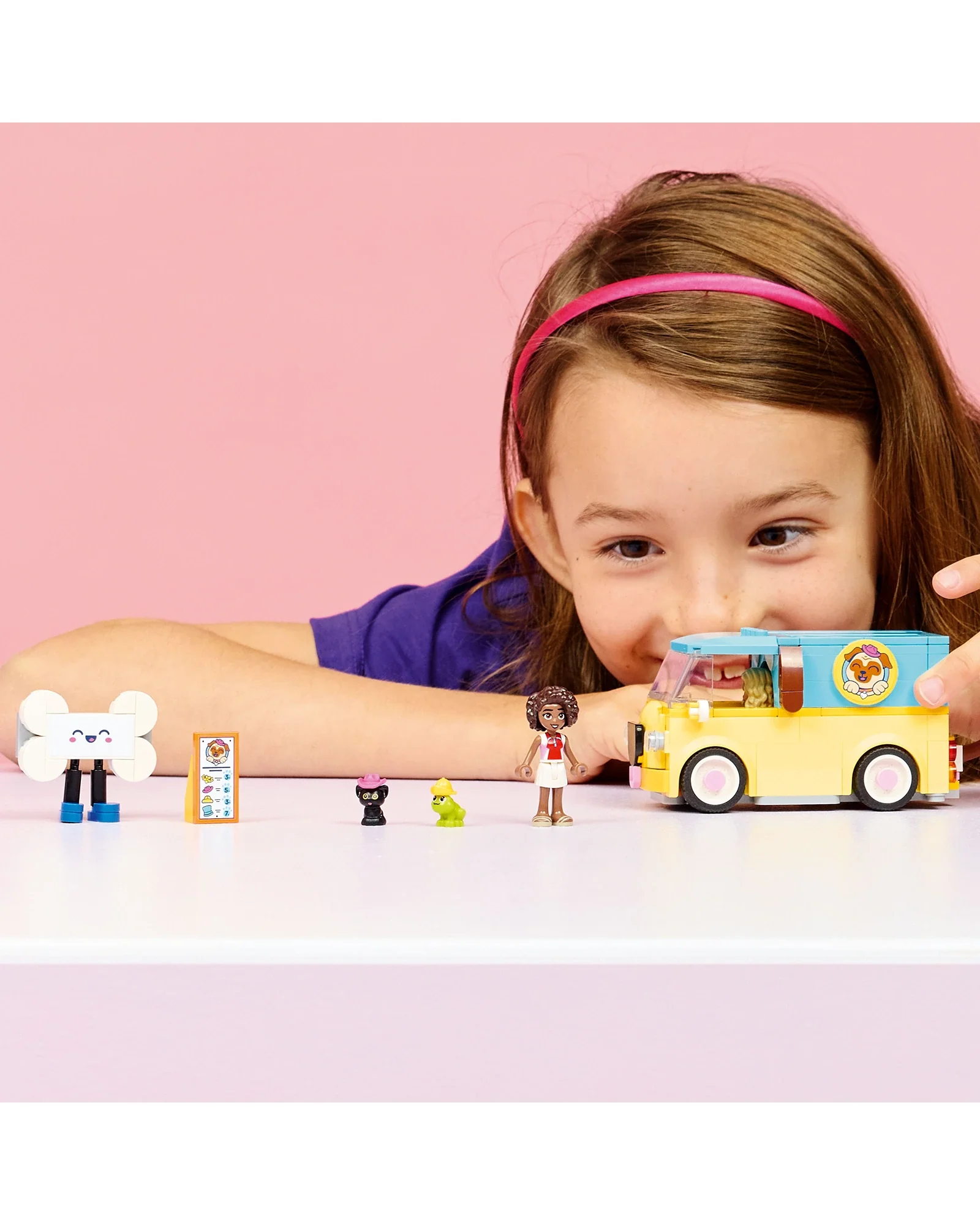 42678 Pet Accessories Van - Image 2
