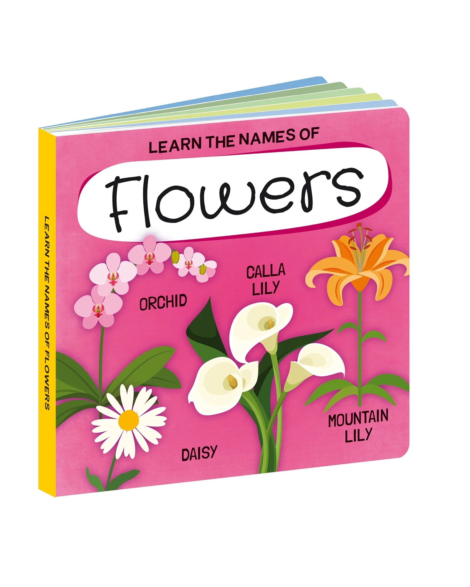 Sassi Learn all about The Flowers 3D Puzzle and Book Set 40 Pieces - Image 2