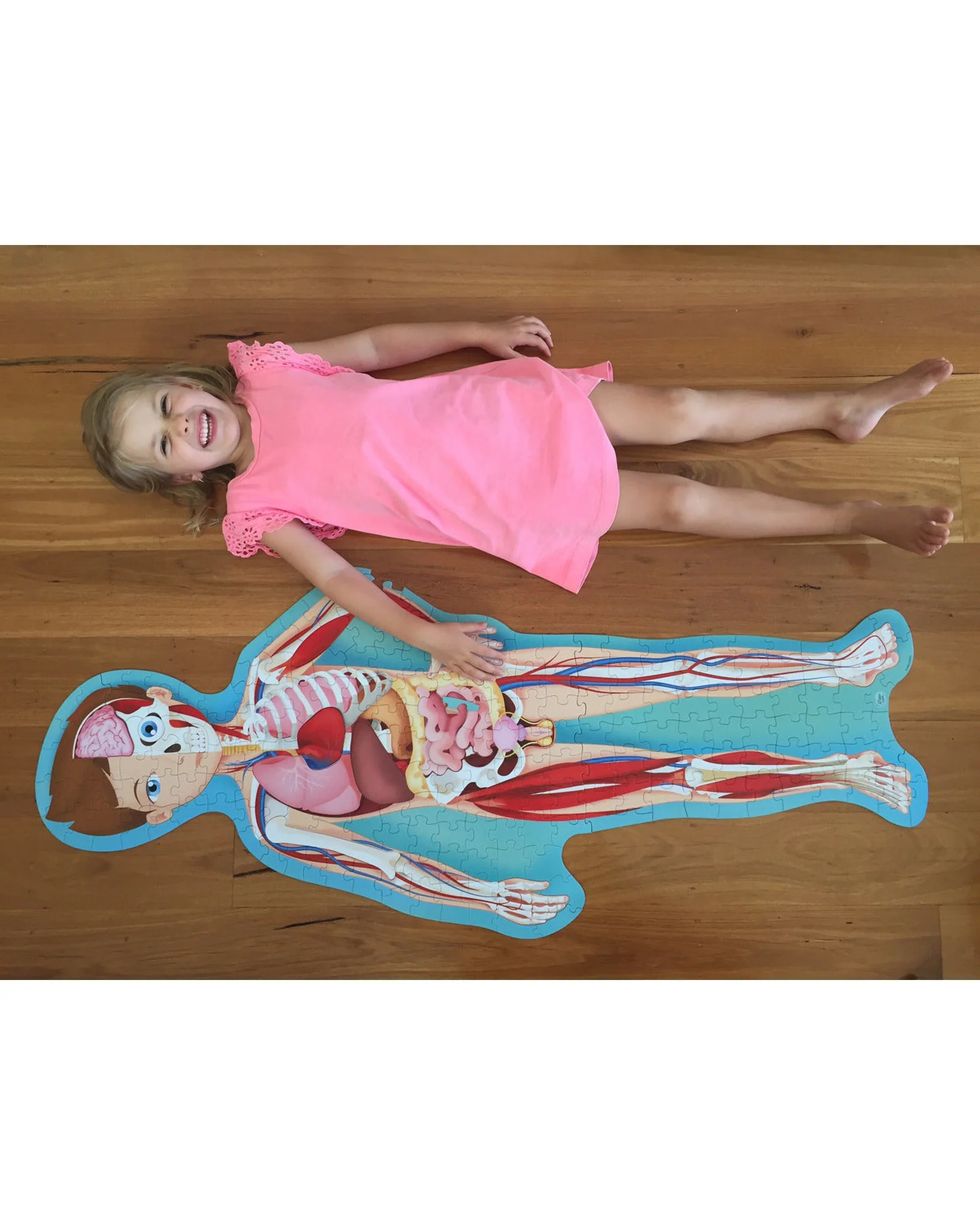 Travel Learn Explore – The Human Body - Image 2