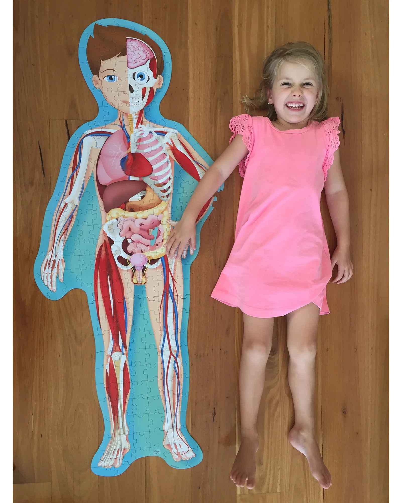 Travel Learn Explore – The Human Body - Image 7
