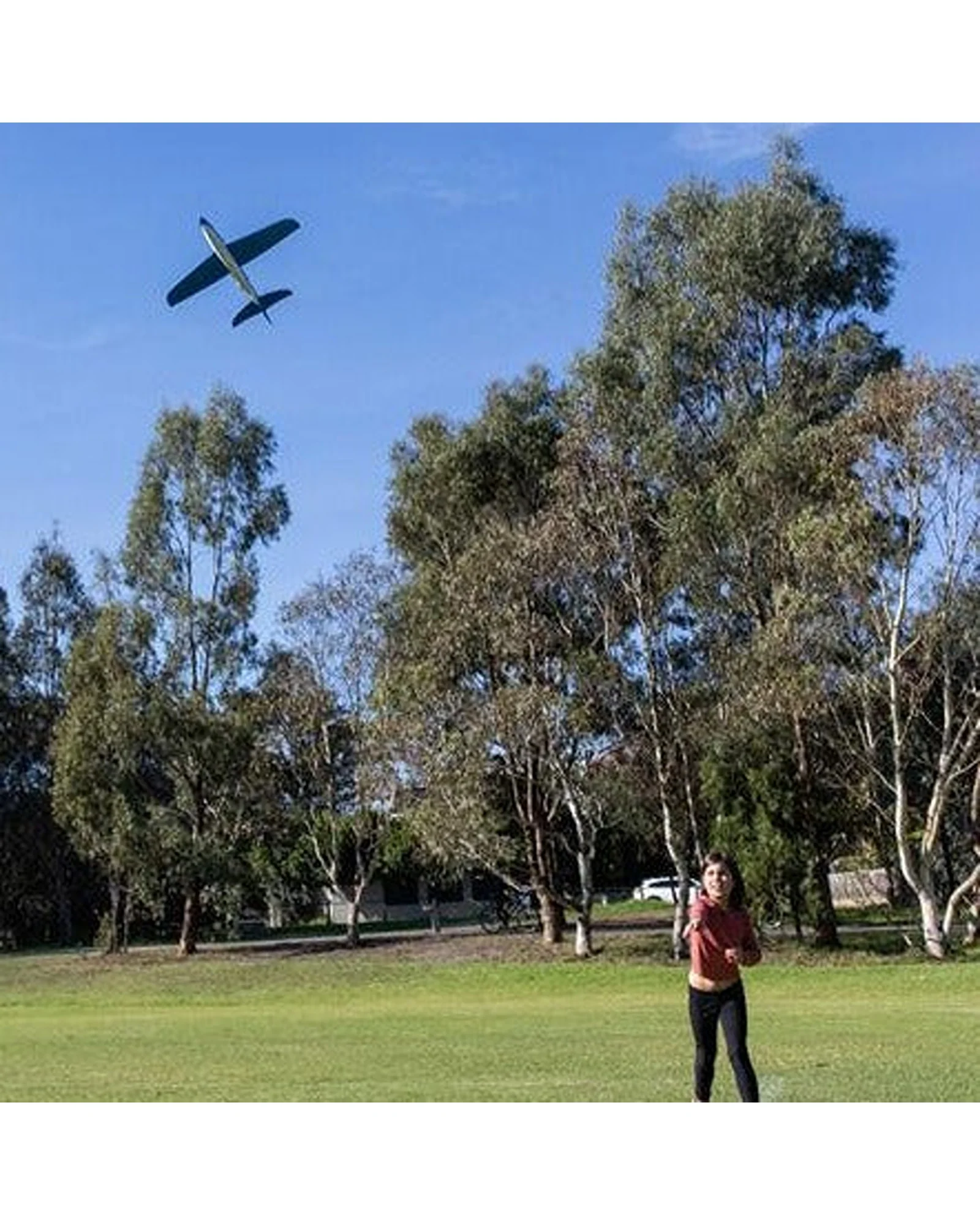 Tiger Tribe Shark Glider - Image 3
